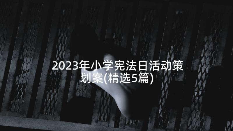 2023年小学宪法日活动策划案(精选5篇)