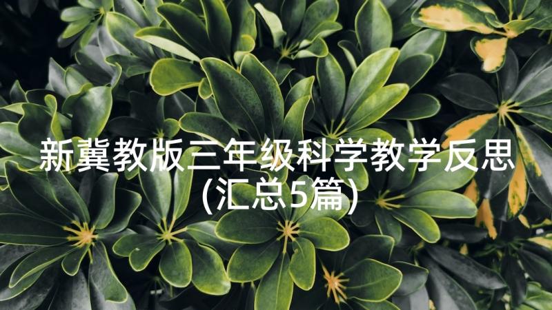 新冀教版三年级科学教学反思(汇总5篇)