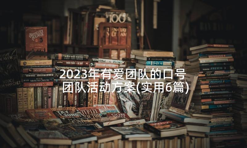 2023年有爱团队的口号 团队活动方案(实用6篇)