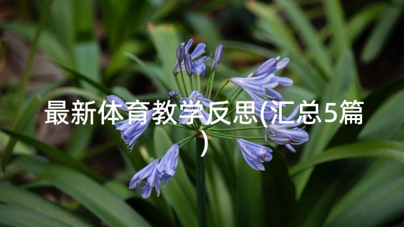 最新体育教学反思(汇总5篇)