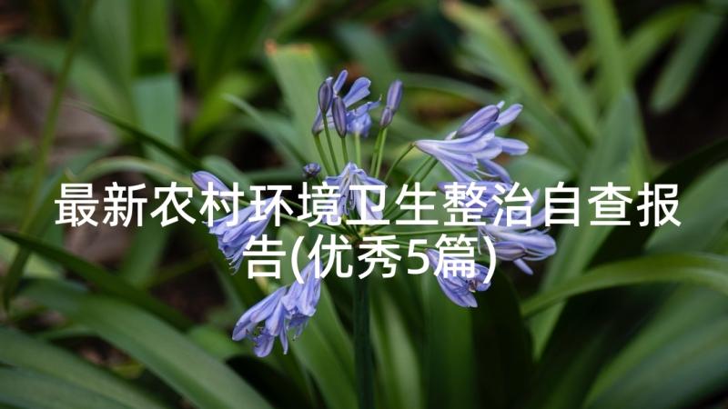 最新农村环境卫生整治自查报告(优秀5篇)