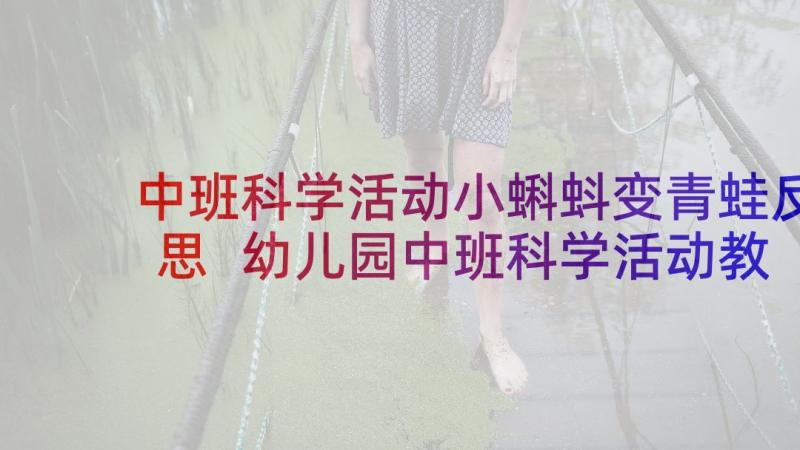 中班科学活动小蝌蚪变青蛙反思 幼儿园中班科学活动教案沙宝的秘密含反思(模板5篇)