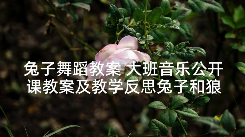 兔子舞蹈教案 大班音乐公开课教案及教学反思兔子和狼(汇总5篇)