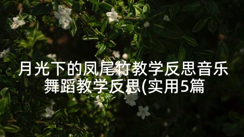 月光下的凤尾竹教学反思音乐 舞蹈教学反思(实用5篇)