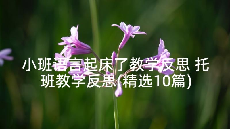 小班语言起床了教学反思 托班教学反思(精选10篇)