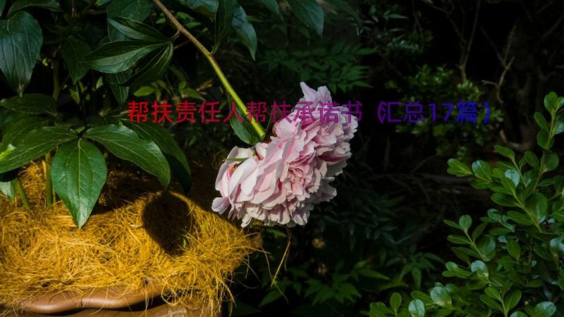 帮扶责任人帮扶承诺书（汇总17篇）