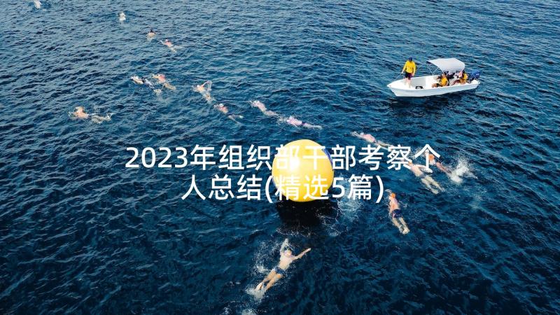 2023年组织部干部考察个人总结(精选5篇)