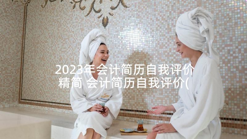 2023年会计简历自我评价精简 会计简历自我评价(通用8篇)