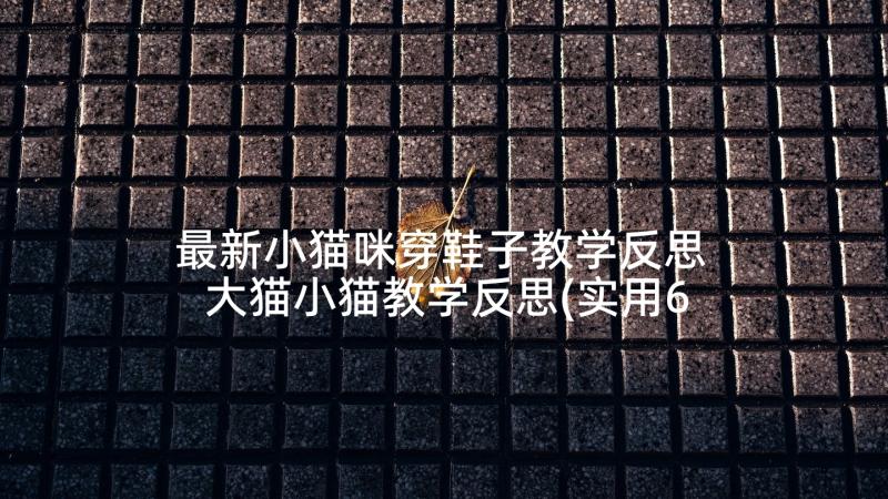 最新小猫咪穿鞋子教学反思 大猫小猫教学反思(实用6篇)