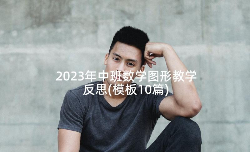 2023年中班数学图形教学反思(模板10篇)