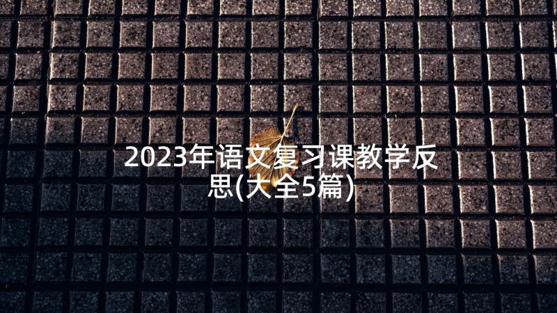 2023年语文复习课教学反思(大全5篇)