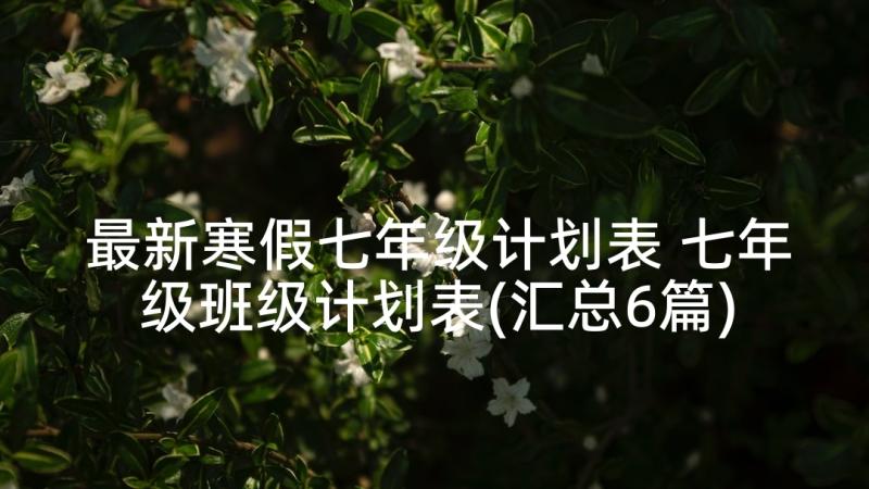 最新寒假七年级计划表 七年级班级计划表(汇总6篇)