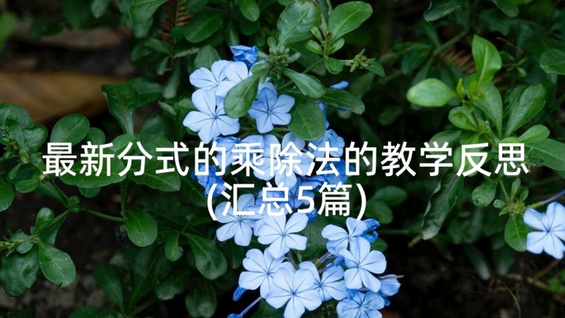 最新分式的乘除法的教学反思(汇总5篇)