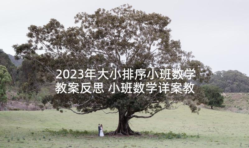 2023年大小排序小班数学教案反思 小班数学详案教案及教学反思上下(大全10篇)