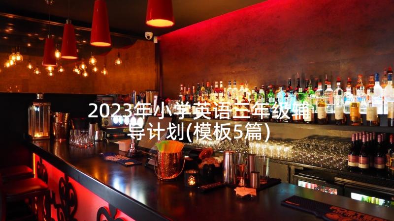 2023年小学英语三年级辅导计划(模板5篇)