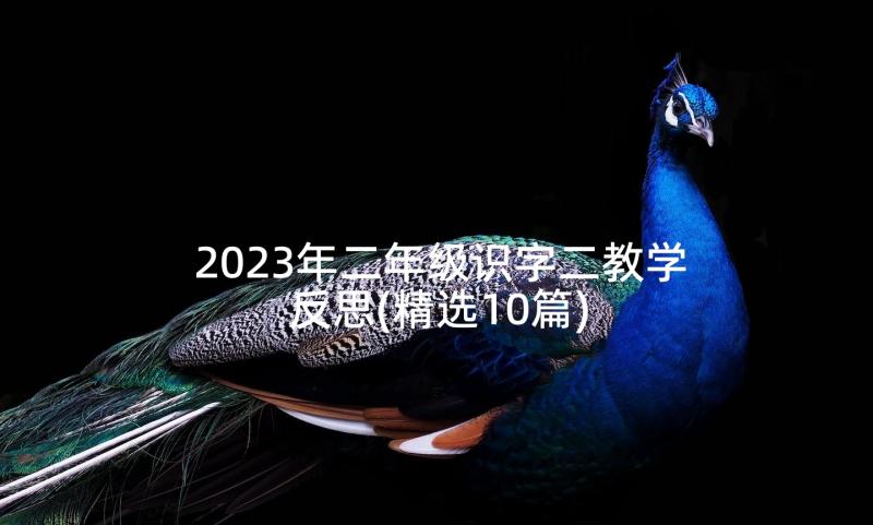 2023年二年级识字二教学反思(精选10篇)