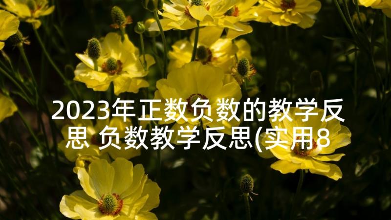 2023年正数负数的教学反思 负数教学反思(实用8篇)