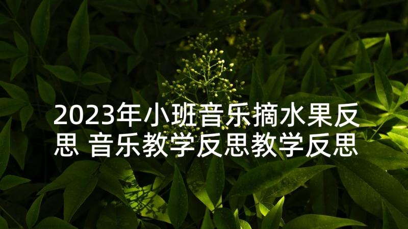 2023年小班音乐摘水果反思 音乐教学反思教学反思(精选6篇)