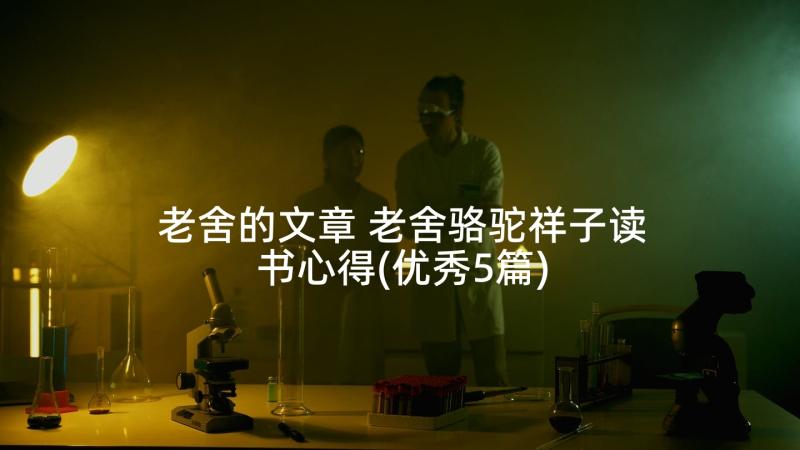 老舍的文章 老舍骆驼祥子读书心得(优秀5篇)