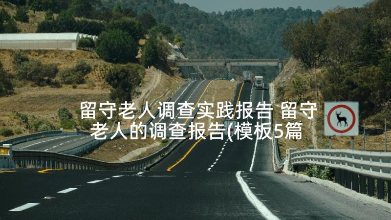 留守老人调查实践报告 留守老人的调查报告(模板5篇)