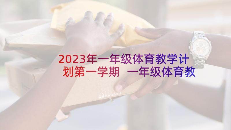 2023年一年级体育教学计划第一学期 一年级体育教学计划(优质8篇)