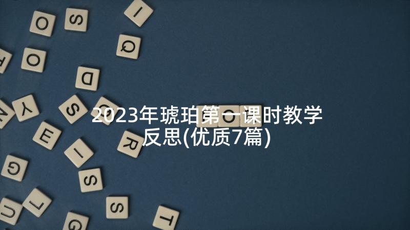 2023年琥珀第一课时教学反思(优质7篇)