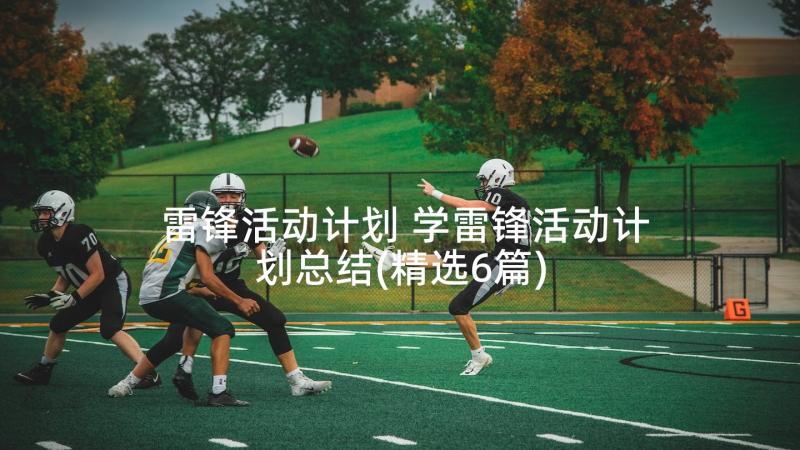 雷锋活动计划 学雷锋活动计划总结(精选6篇)