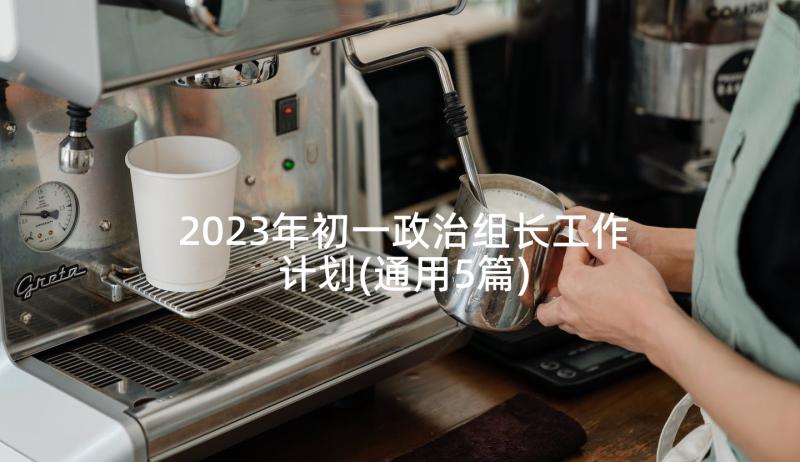 2023年初一政治组长工作计划(通用5篇)