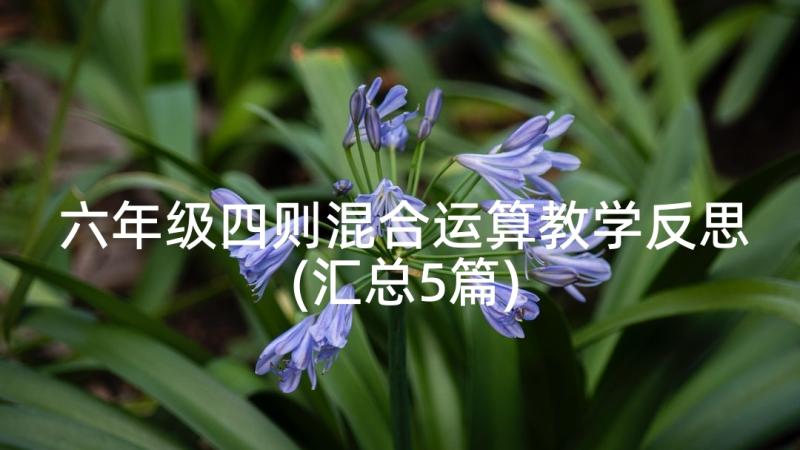 六年级四则混合运算教学反思(汇总5篇)