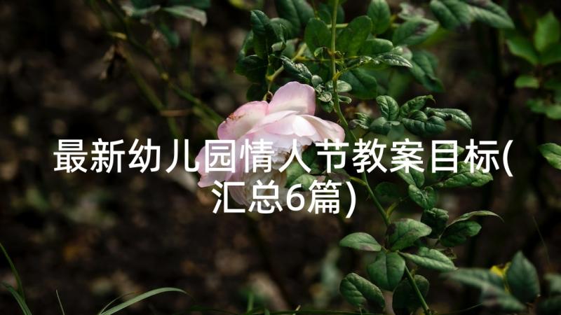 最新幼儿园情人节教案目标(汇总6篇)