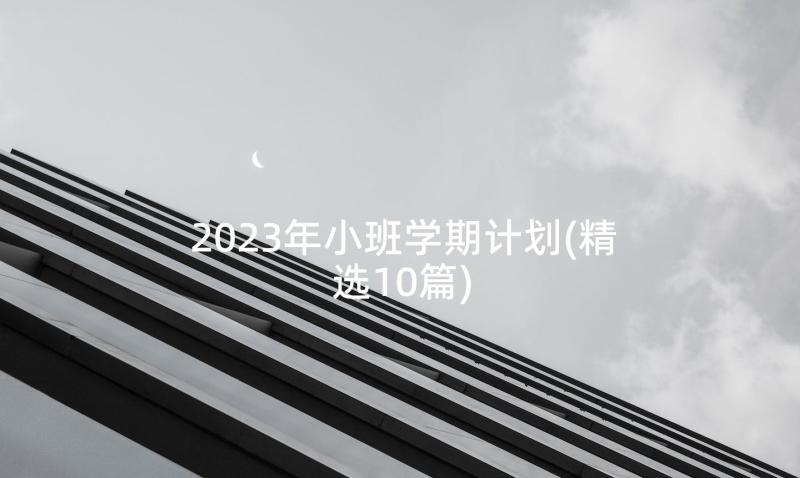 2023年小班学期计划(精选10篇)