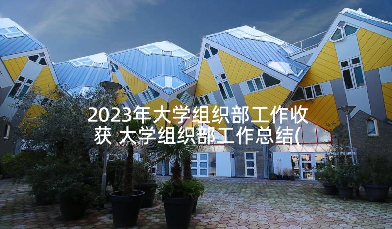 2023年大学组织部工作收获 大学组织部工作总结(优秀9篇)