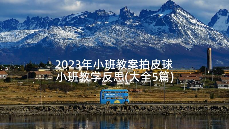 2023年小班教案拍皮球 小班教学反思(大全5篇)