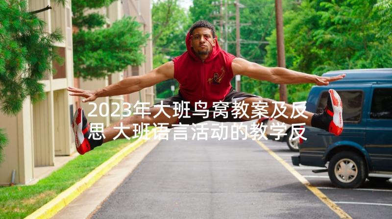 2023年大班鸟窝教案及反思 大班语言活动的教学反思(优质5篇)