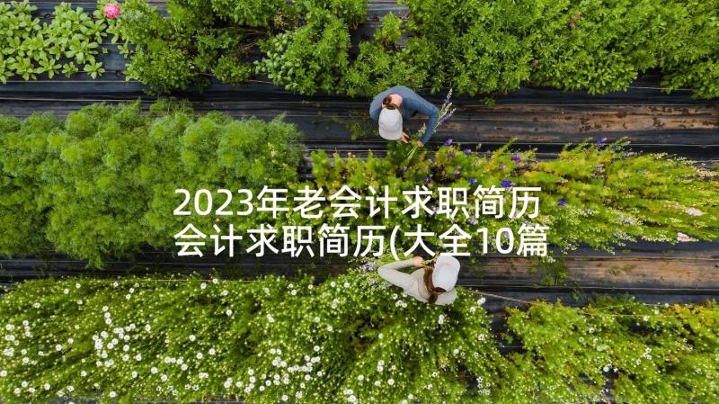 2023年老会计求职简历 会计求职简历(大全10篇)