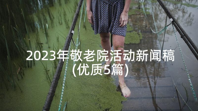 2023年敬老院活动新闻稿(优质5篇)