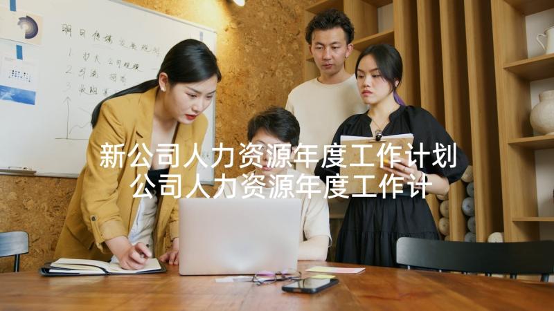 新公司人力资源年度工作计划 公司人力资源年度工作计划(模板5篇)