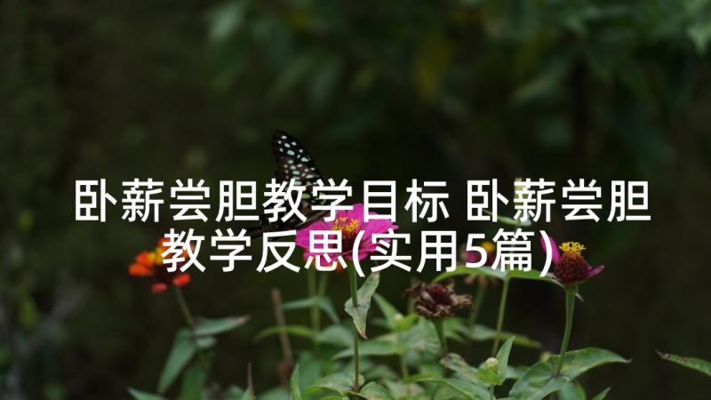 卧薪尝胆教学目标 卧薪尝胆教学反思(实用5篇)