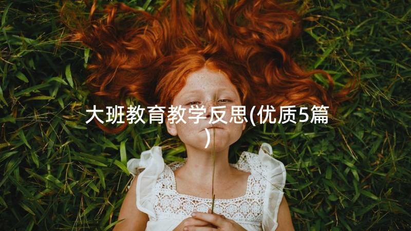 大班教育教学反思(优质5篇)