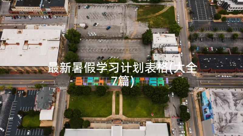 最新暑假学习计划表格(大全7篇)