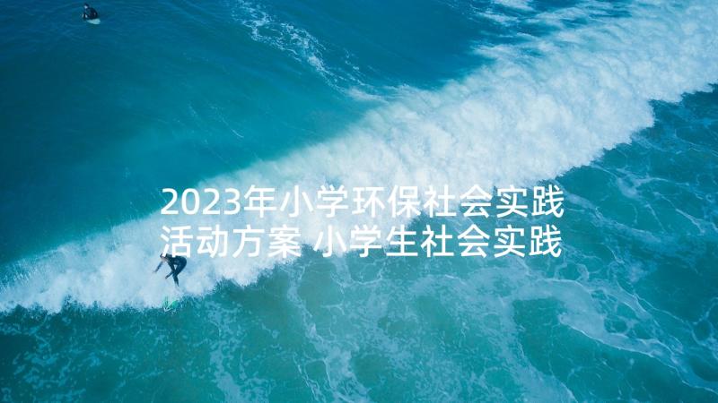 2023年小学环保社会实践活动方案 小学生社会实践活动总结(通用9篇)