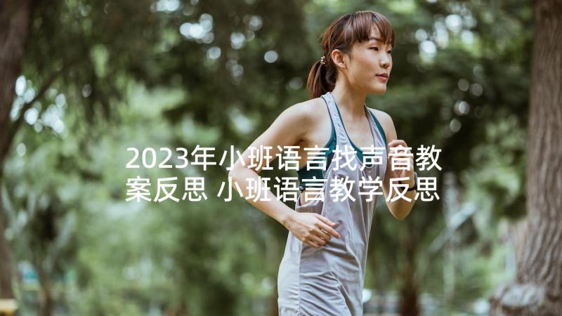 2023年小班语言找声音教案反思 小班语言教学反思(汇总9篇)