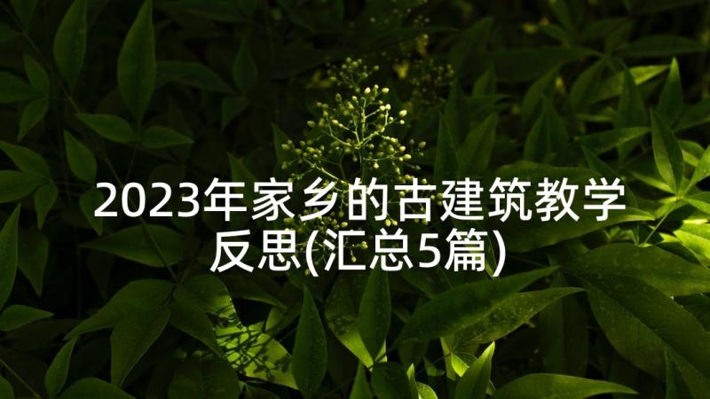 2023年家乡的古建筑教学反思(汇总5篇)