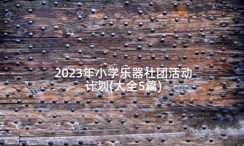 2023年小学乐器社团活动计划(大全5篇)