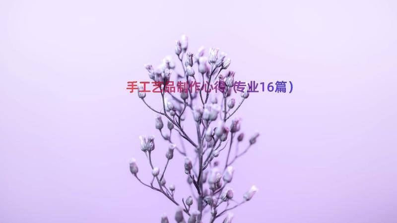 手工艺品制作心得（专业16篇）