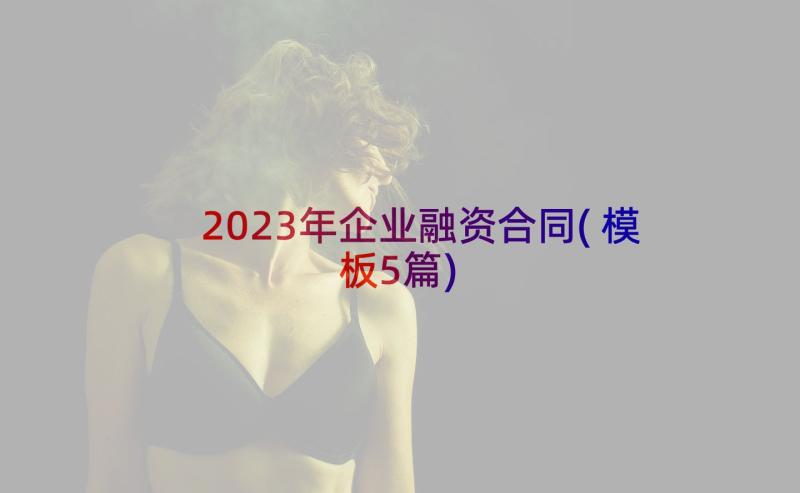 2023年企业融资合同(模板5篇)