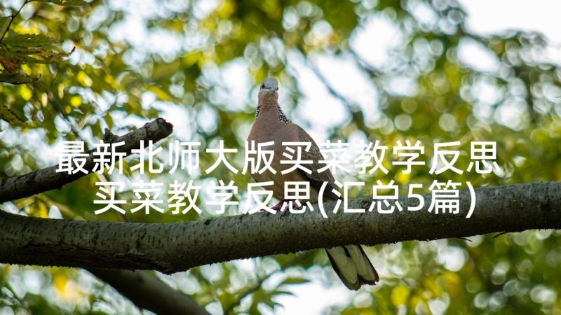 最新北师大版买菜教学反思 买菜教学反思(汇总5篇)