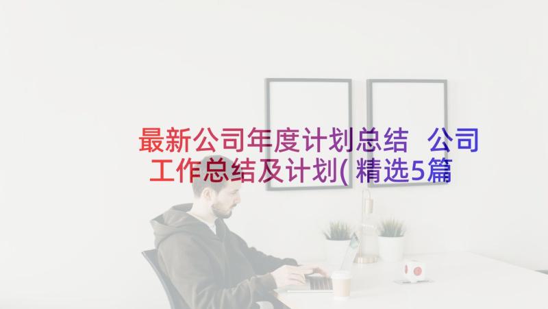 最新公司年度计划总结 公司工作总结及计划(精选5篇)