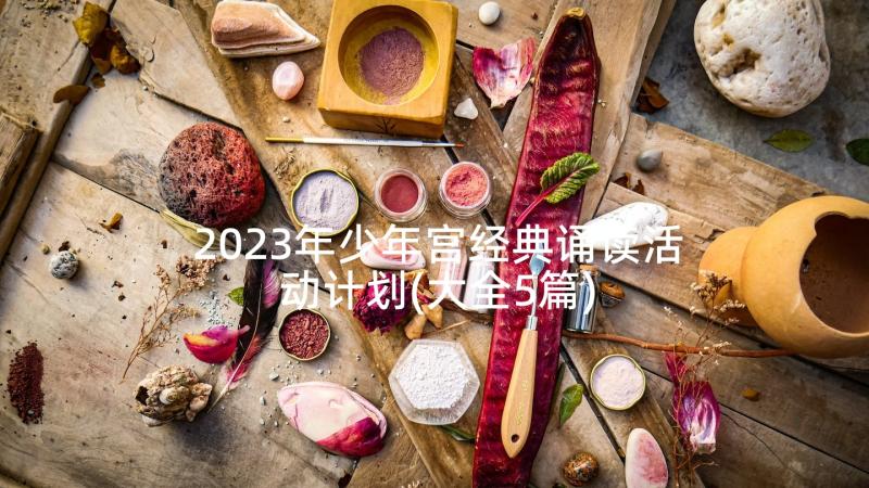 2023年少年宫经典诵读活动计划(大全5篇)