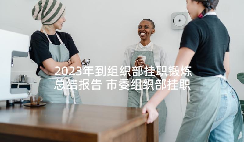 2023年到组织部挂职锻炼总结报告 市委组织部挂职锻炼个人工作总结(通用5篇)